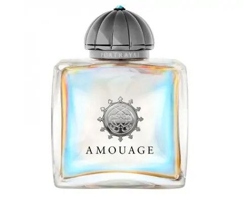 AMOUAGE PORTRAYAL – EAU DE PARFUM 100 ML