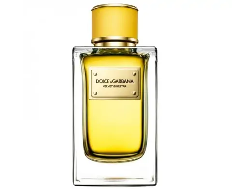DOLCE & GABBANA VELVET GINESTRA – EAU DE PARFUM 150ML
