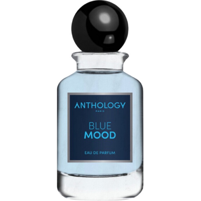 ANTHOLOGY BLUE MOOD FOR MEN EAU DE PARFUM 100ML