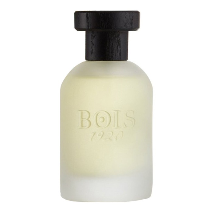 BOIS 1920 – VETIVER AMBRATO UNISEX EAU DE PARFUM 100ML