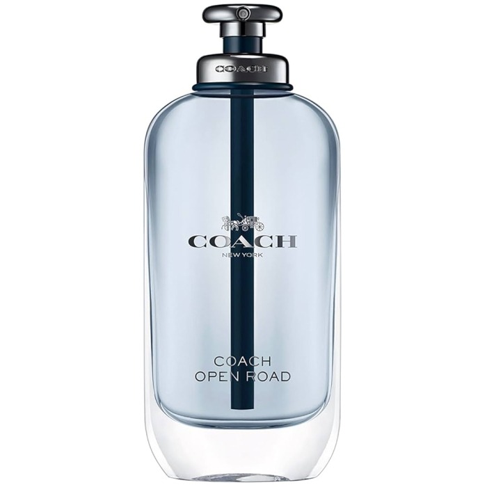 COACH OPEN ROAD FOR MEN EAU DE TOILETTE 100ML