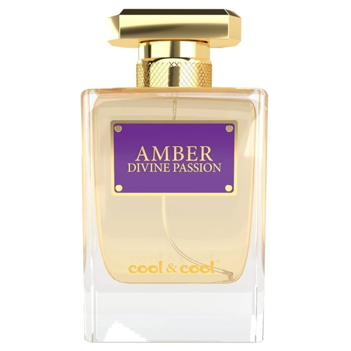 COOL & COOL AMBER DIVINE PASSION UNISEX EAU DE PARFUM 100ML